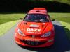 206 WRC 19.jpg